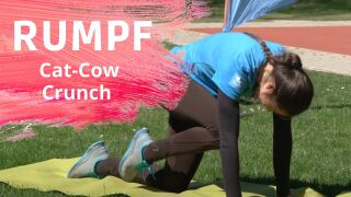 placeholder image — Cat Cow Crunch