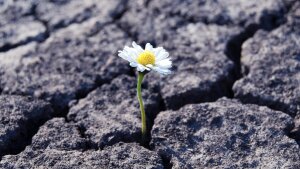 Resilienz